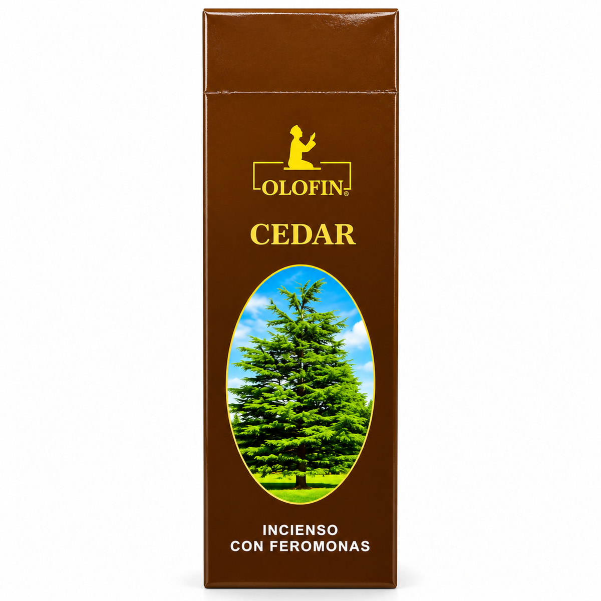 A tall rectangular brown box of Olofin Cedar incense with a green cedar tree illustration on the front, set against a plain white background.